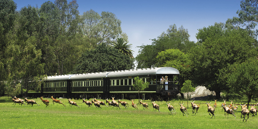 Journeying aboard the luxurious Pride of Africa train