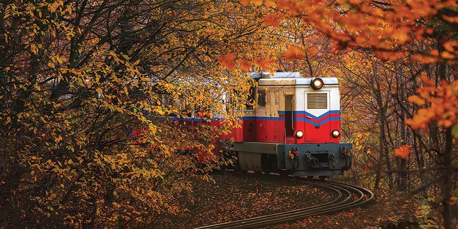 Taking a charming train ride through the Buda Hills