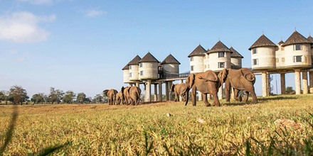 Salt Lick Safari Lodge, Tsavo West National Park