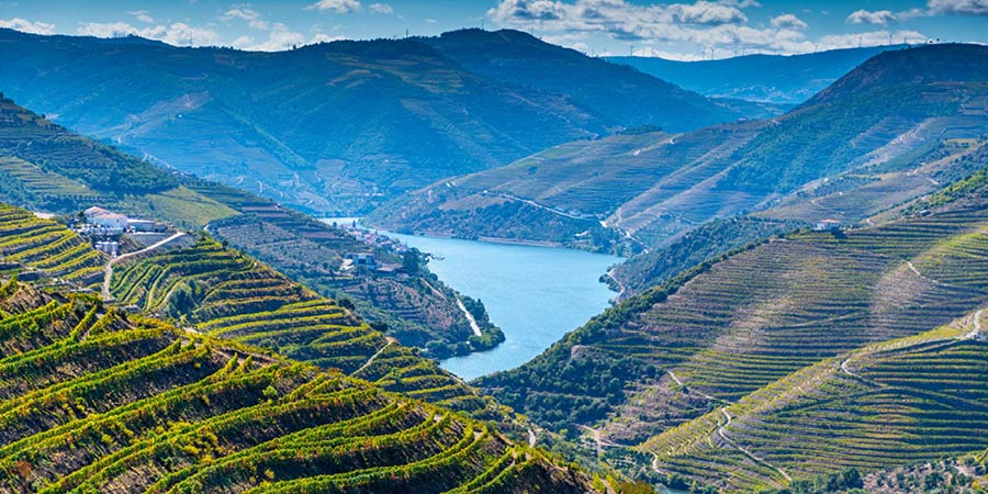Journeying through the scenic Douro Valley